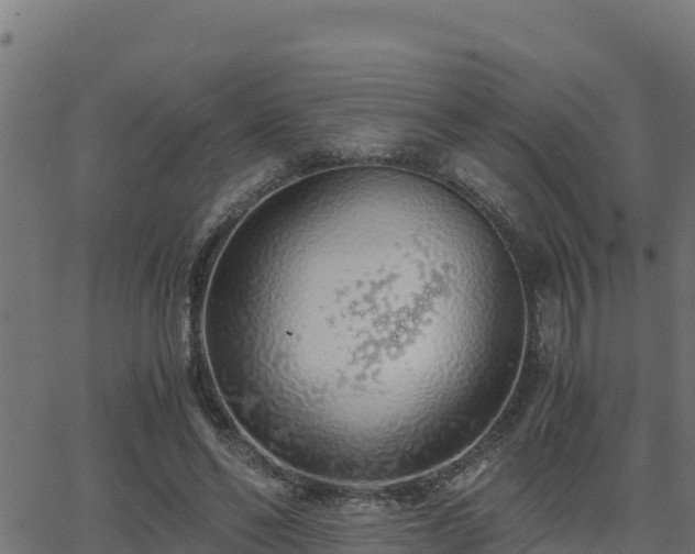 X0000062880494200601171451