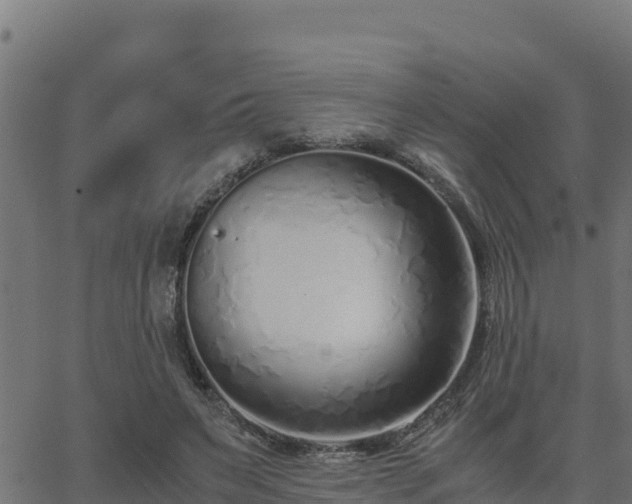 X0000062880495200601171451