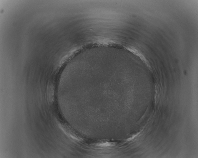 X0000062880496200601171451