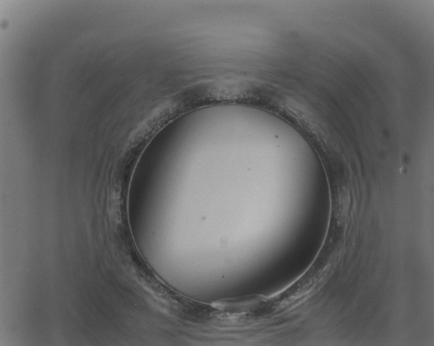 X0000062880497200601171451