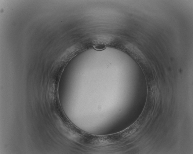 X0000062880498200601171451