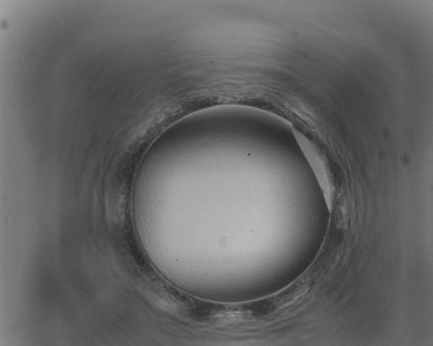 X0000062880499200601171451