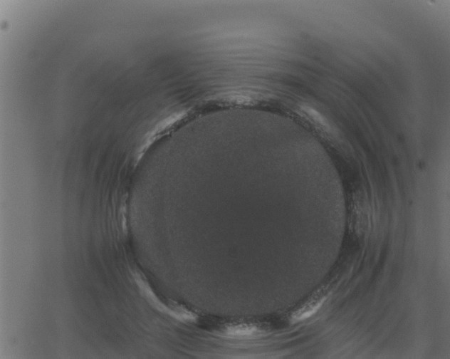 X0000062880500200601171451