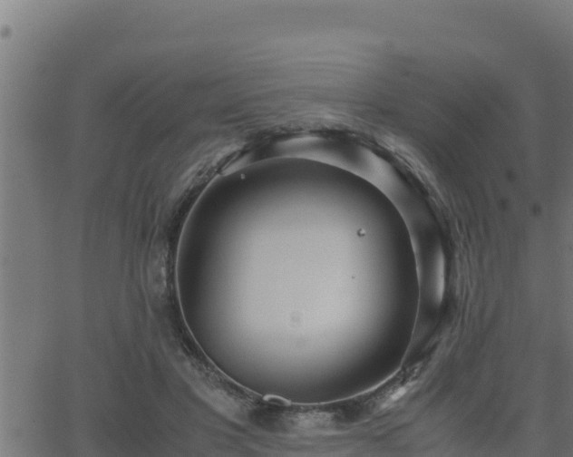 X0000062880501200601171451