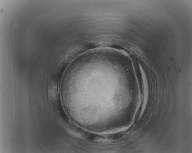 X0000062880503200601171451