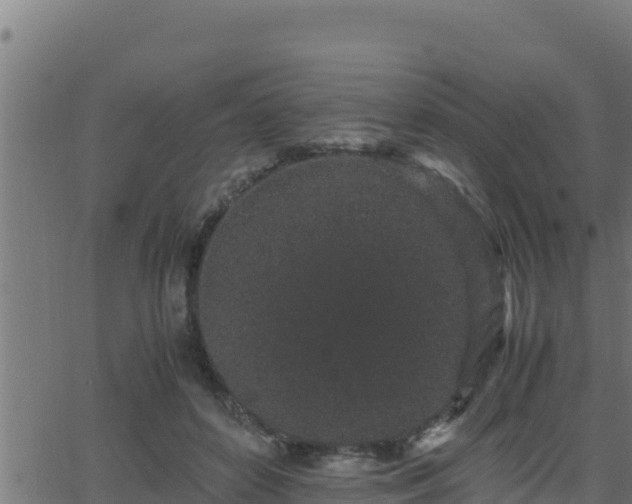 X0000062880504200601171451