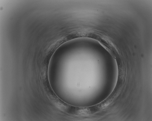 X0000062880505200601171451