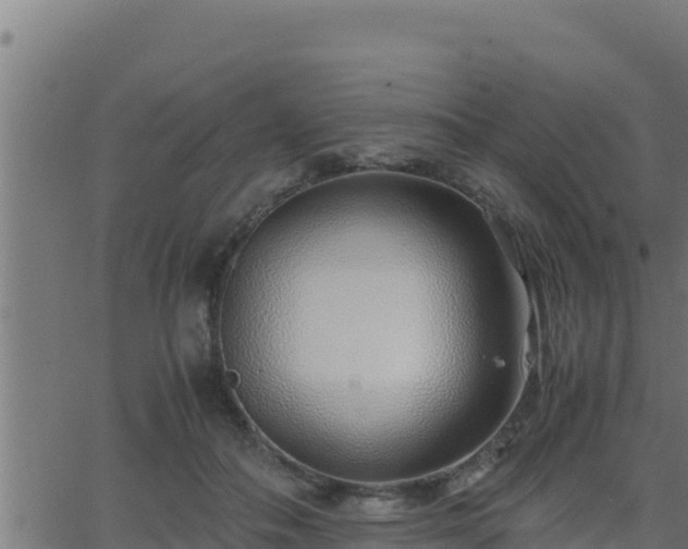 X0000062880506200601171451