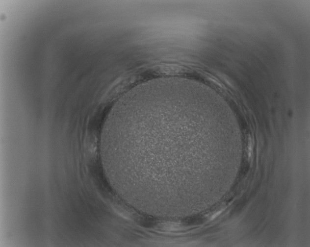 X0000062880507200601171451