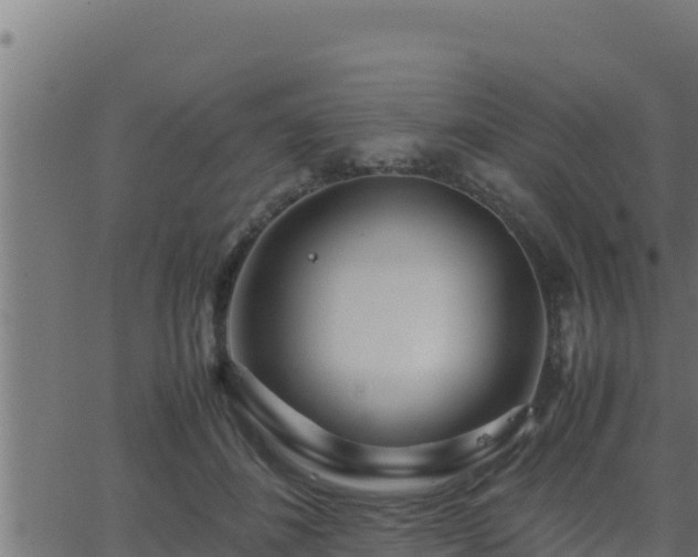 X0000062880508200601171451