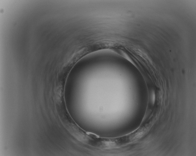 X0000062880509200601171451