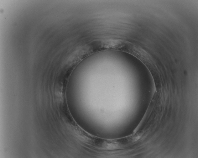 X0000062880510200601171451