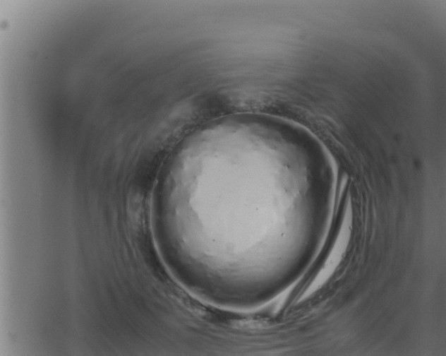 X0000062880511200601171451