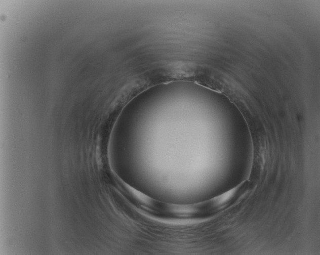 X0000062880512200601171451