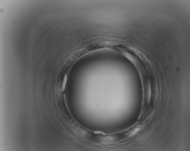 X0000062880513200601171451