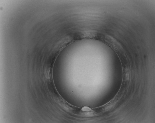 X0000062880514200601171451