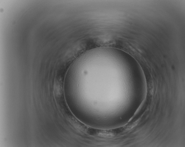 X0000062880515200601171451