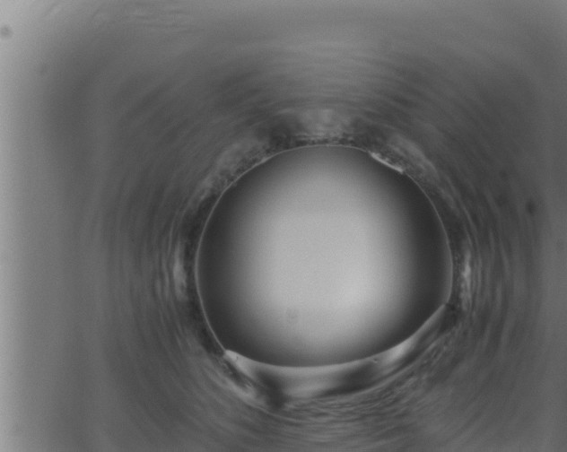 X0000062880516200601171451