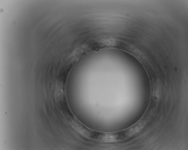 X0000062880518200601171451