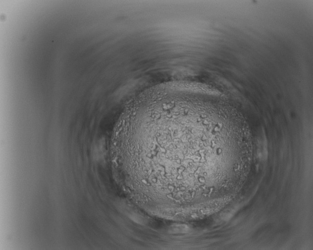 X0000062880519200601171451