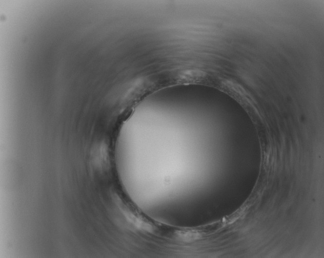 X0000062880520200601171451