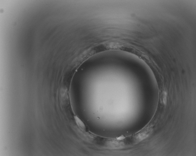 X0000062880521200601171451