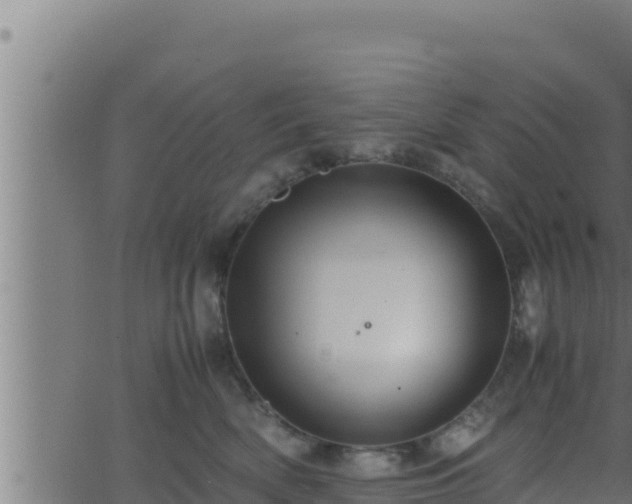 X0000062880522200601171451