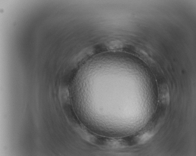 X0000062880523200601171451