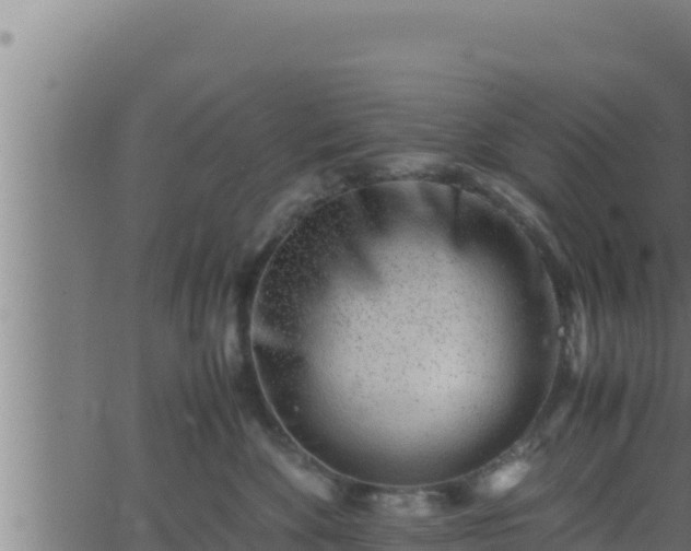 X0000062880524200601171451