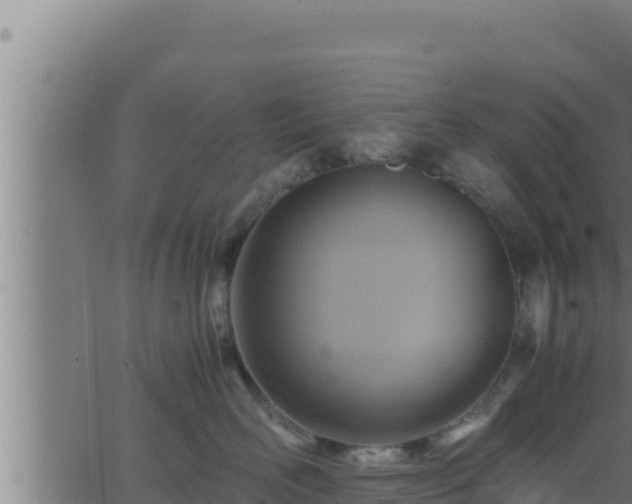 X0000062880526200601171451