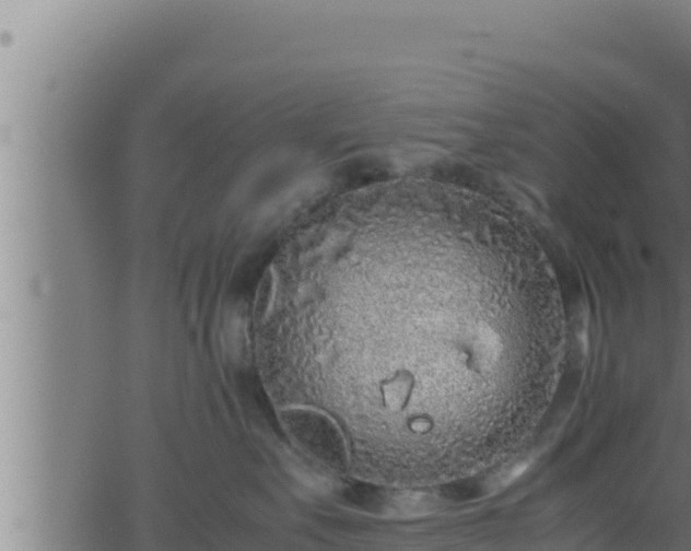 X0000062880527200601171451