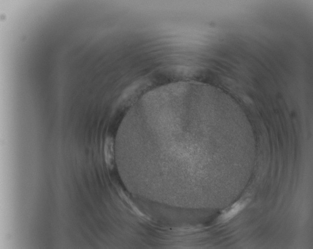 X0000062880528200601171451