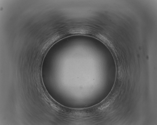 X0000062880529200601171450