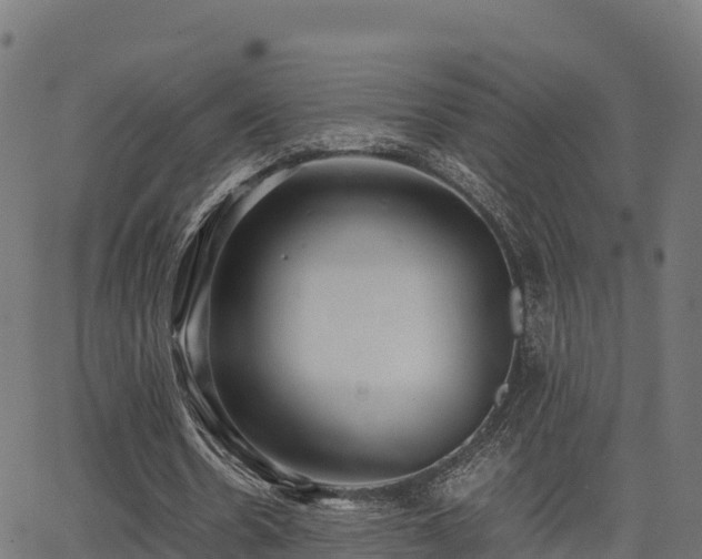 X0000062880530200601171450