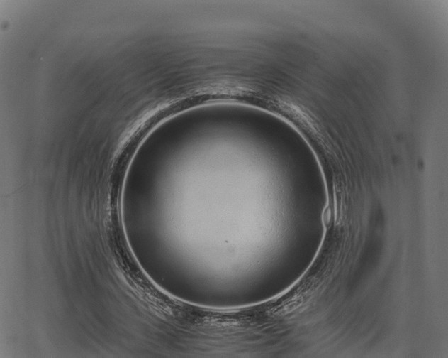 X0000062880531200601171450