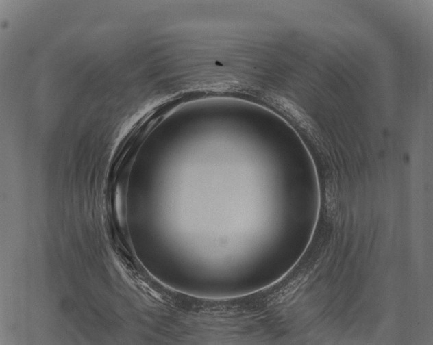 X0000062880532200601171450