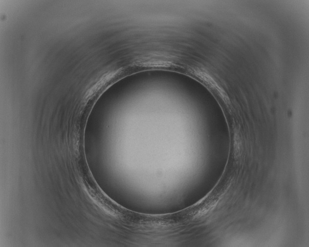 X0000062880533200601171450