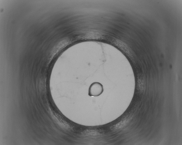 X0000062880534200601171450