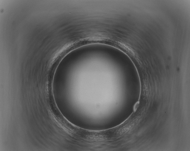 X0000062880535200601171450