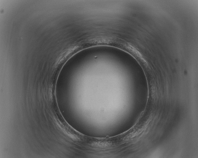 X0000062880537200601171450