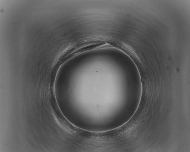 X0000062880538200601171450