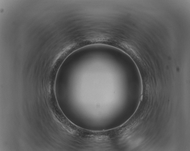 X0000062880539200601171450