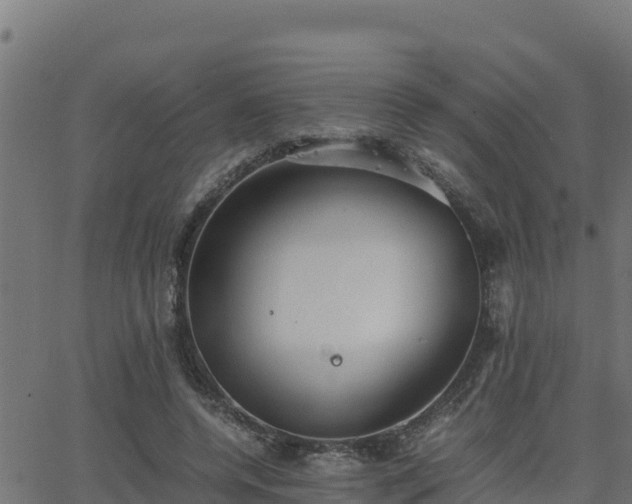 X0000062880544200601171450