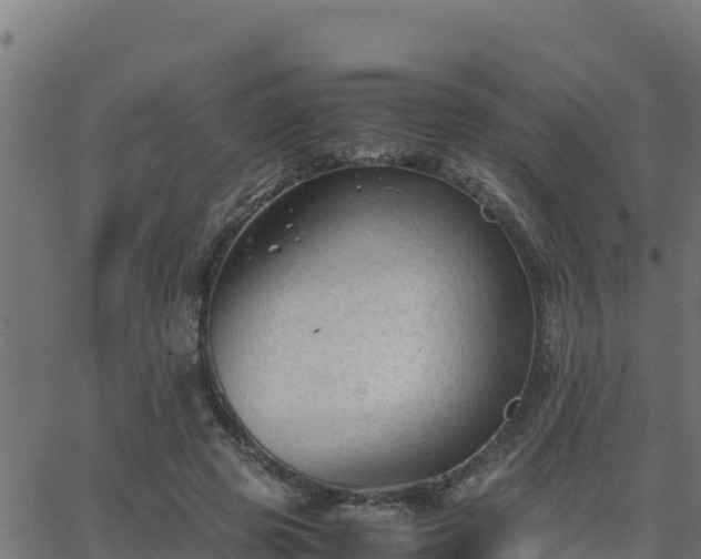 X0000062880545200601171450