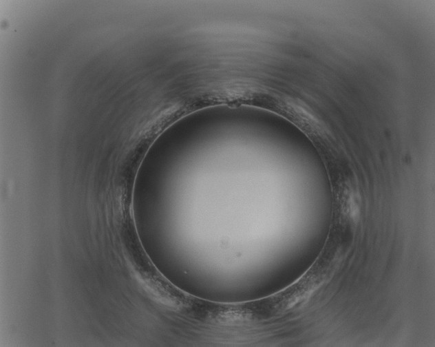 X0000062880546200601171450