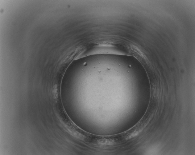 X0000062880549200601171450