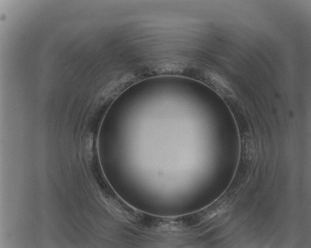 X0000062880550200601171450