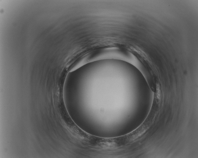 X0000062880552200601171450