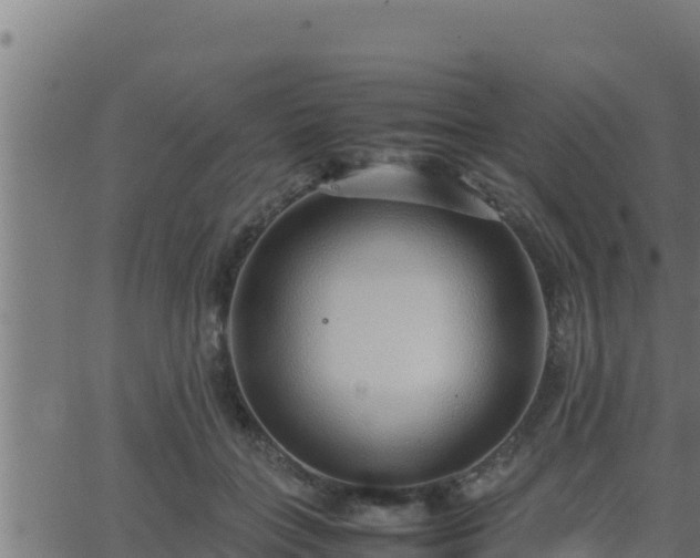 X0000062880555200601171450