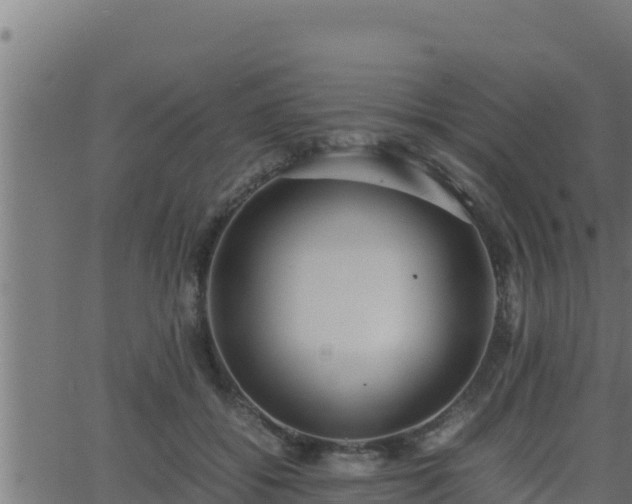 X0000062880556200601171450